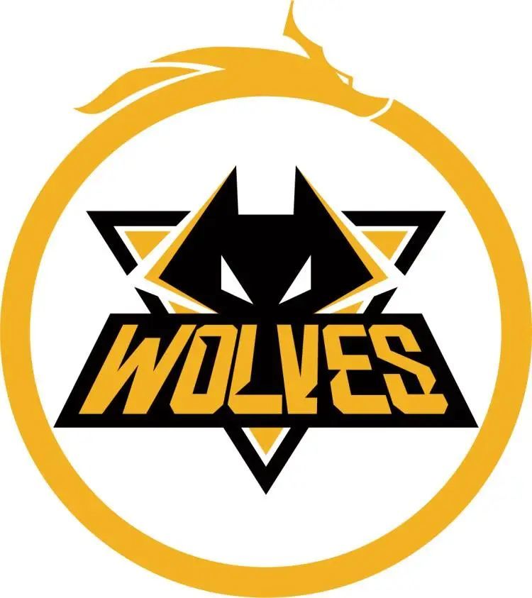 Vitality 击败 The MongolZ ，以 2：0 的胜利结束比赛